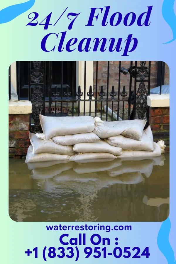 24/7 Flood Cleanup in Mount Pleasant, SC