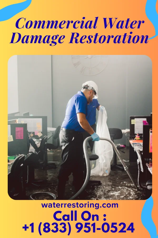 Commercial Water Damage Restoration in Mount Pleasant, SC