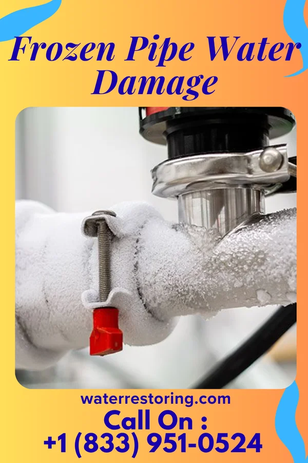 Frozen Pipe Water Damage in Mount Pleasant, SC